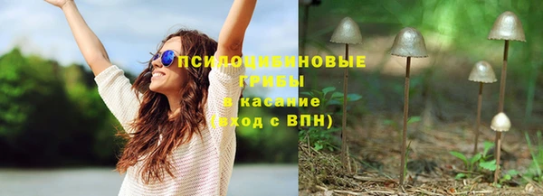 дмт Абаза