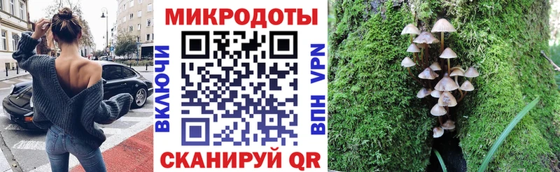 Галлюциногенные грибы мицелий  даркнет сайт  Орск 
